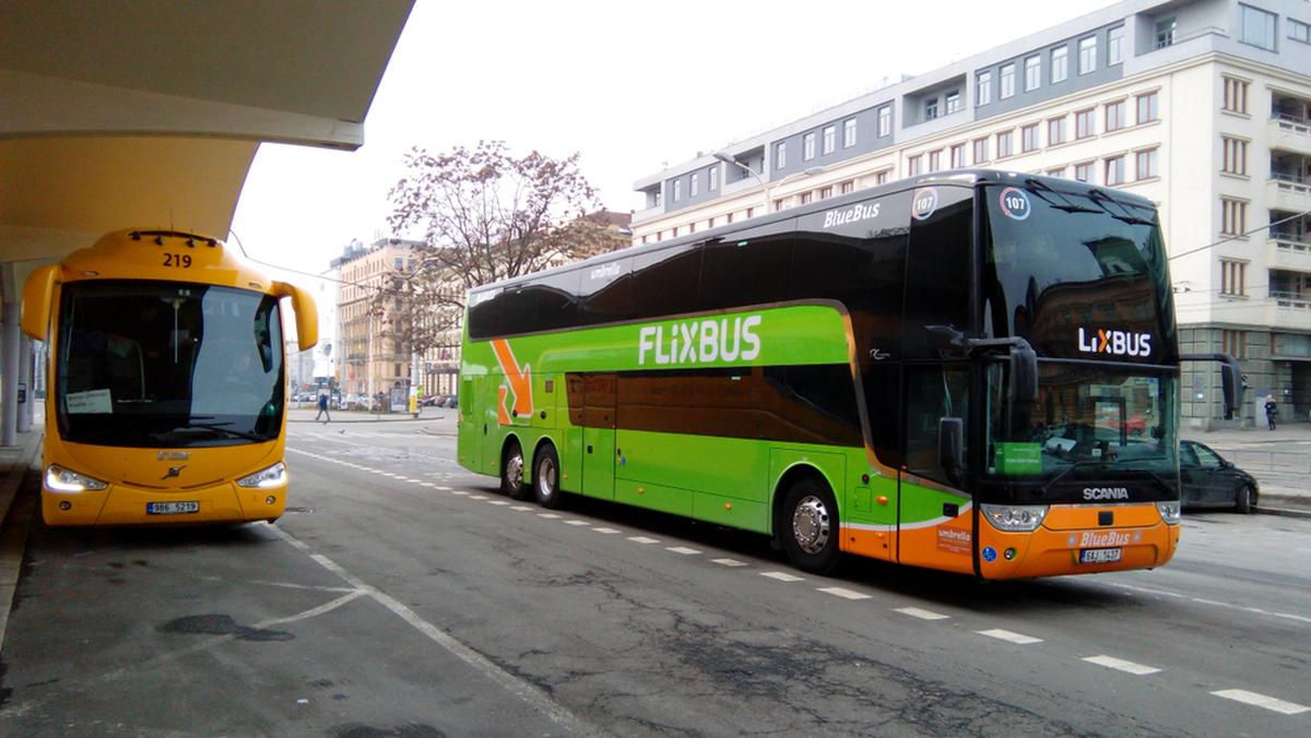 FlixBus w 2022 r. będzie obsługiwał ok. 190 miast w Polsce - Forsal.pl