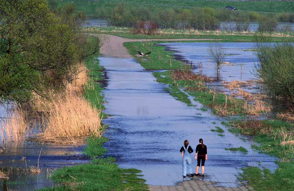 Żuławy Wiślane (woj. pomorskie)