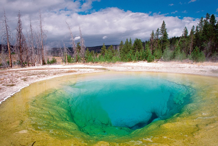 brojni gejziri i bazeni s vodom mogu se pronaći u svim delovima parka