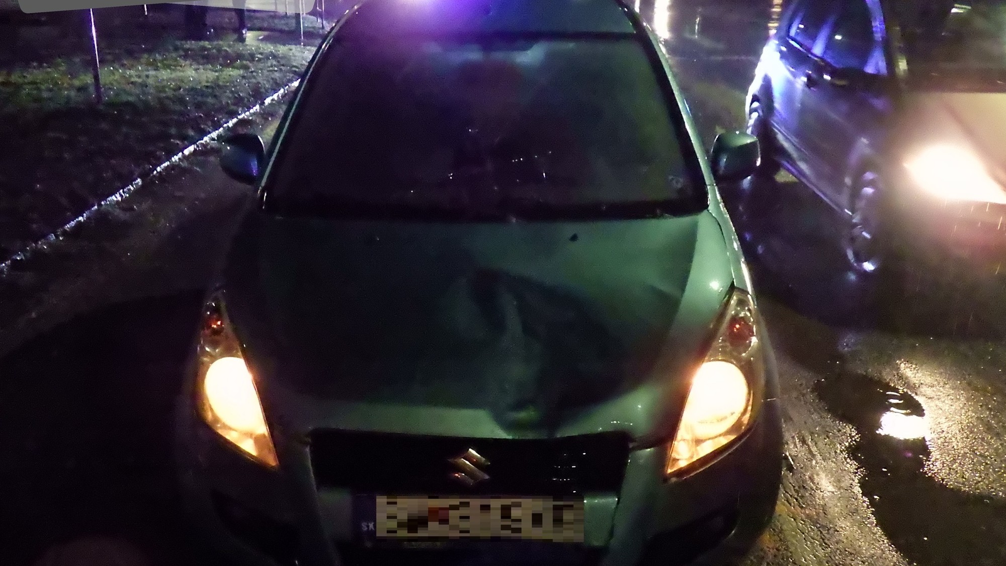 Vodič v Seredi zachytil chodkyňu na prechode.