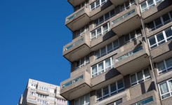 Wyrzuciła szczeniaka z balkonu, bo 'hałasował i niszczył meble'