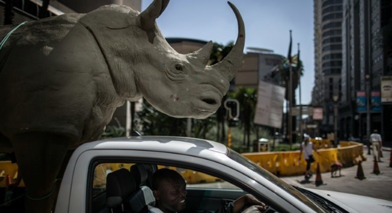 A man drives a pick-up truck carrying a mock rhino during a demonstration marking the opening of the Convention on International Trade in Endangered Species of Wild, Fauna and Flora (CITES) in Johannesburg on September 24, 2016