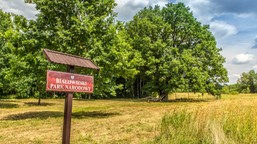 czyja racja jest na górze w sprawie puszczy białowieskiej? [komentarz]