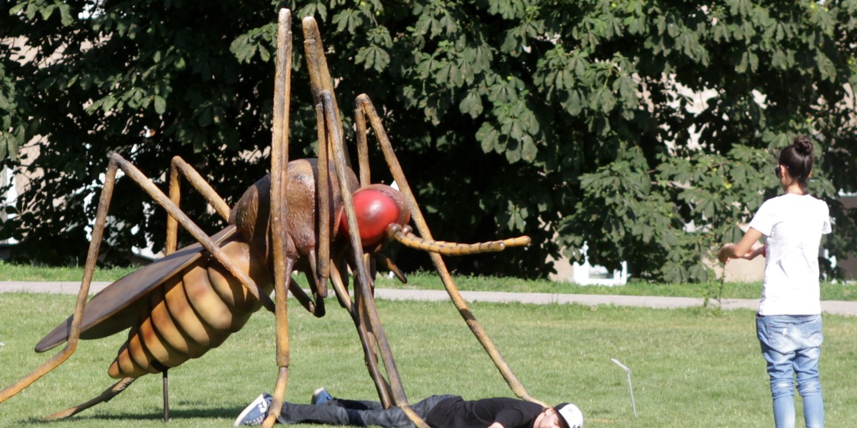 Figury owadów w Starym Browarze.