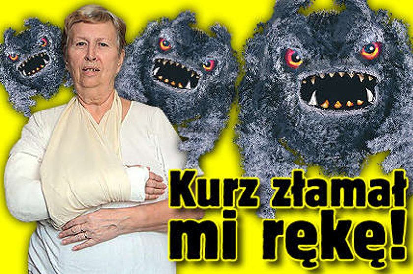 Kurz złamał mi rękę!