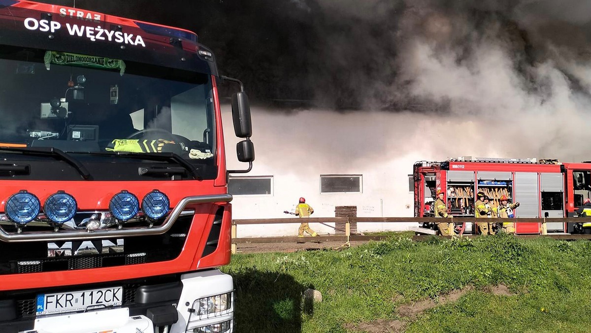 Wielki pożar stadniny. Cały dach runął do środka 