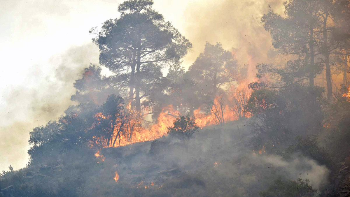 Od kilku dni płonie las w górach Troodos na Cyprze