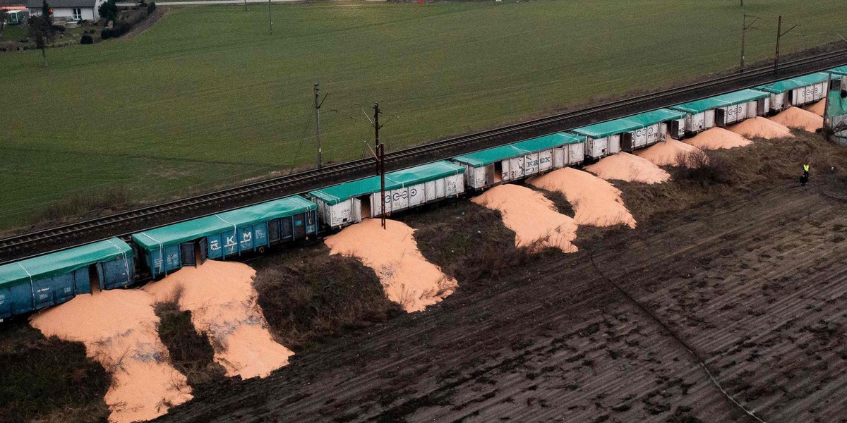 Ukraińskie zboże wysypane z wagonów w województwie kujawsko-pomorskim.