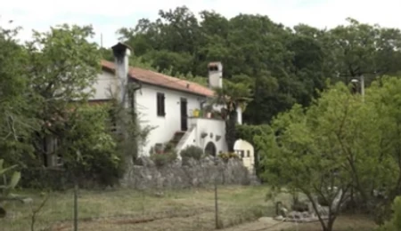 Vedrana Rudan