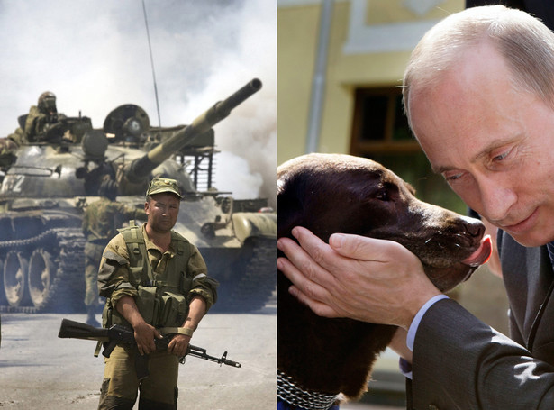 Pies Putina ma lepiej od żołnierza w Osetii