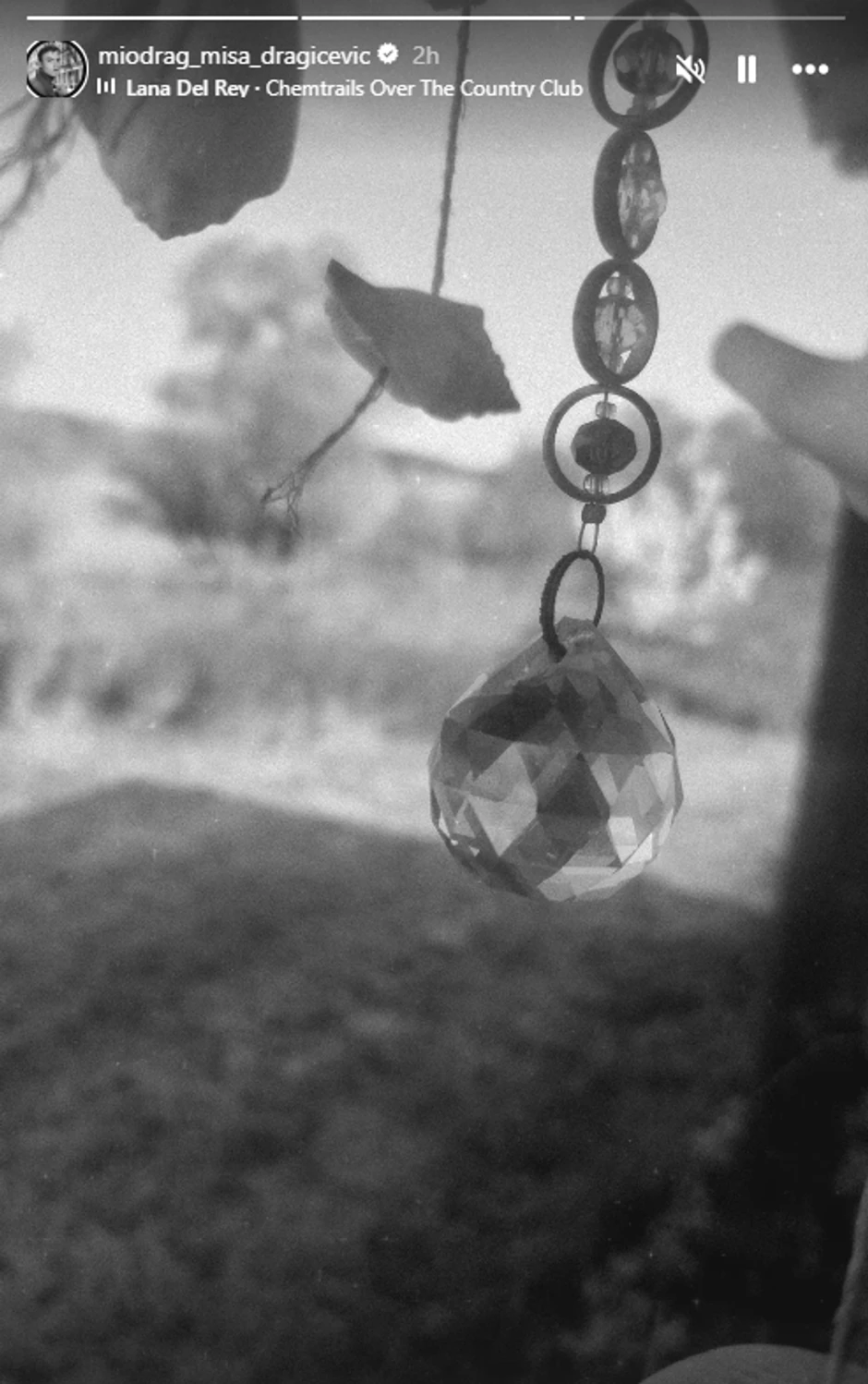 Miodrag Dragičević otišao na selo