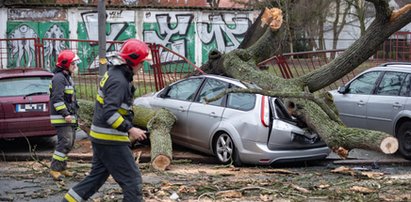 Pierwsza „wiosenna" wichura w Polsce. Co za zniszczenia!