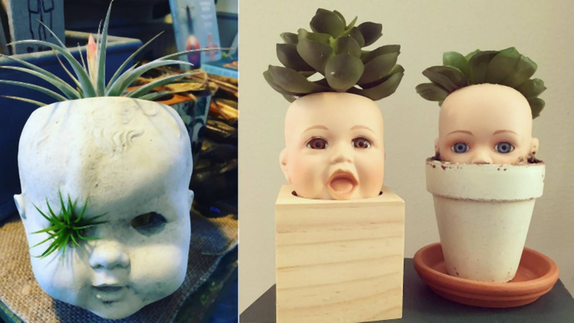 Horror trend az Insgatrammon, rémisztő babafejekbe ültetnek virágot