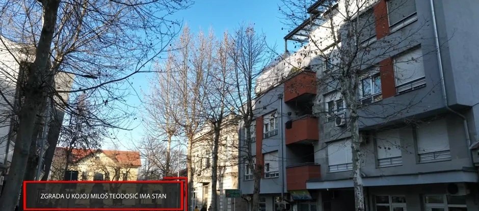 Miloš Teodosić, emisija "Metar moga sela"