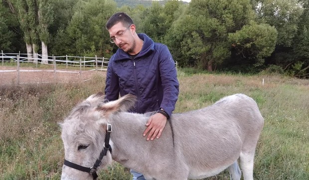 Spašeni magarac