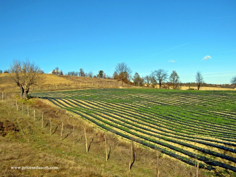 Selo Valjevska Kamenica