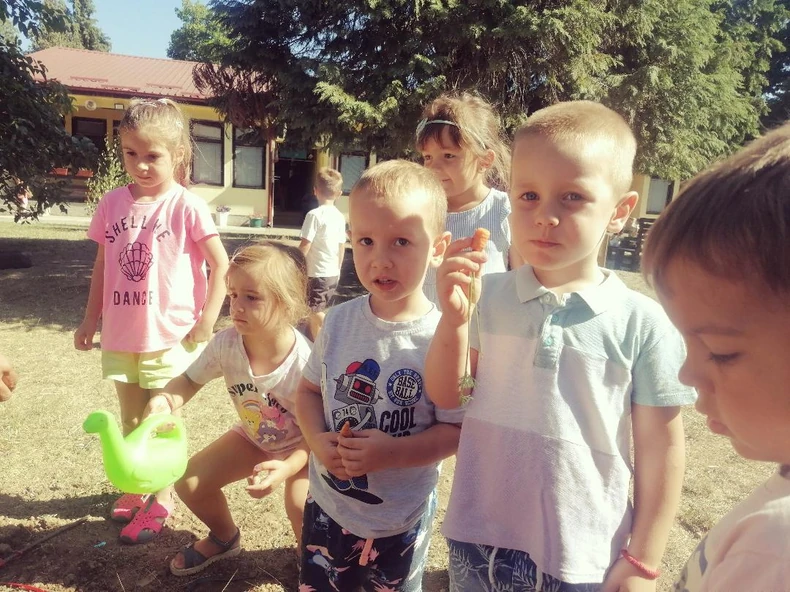 Šargarepe stigle za jelo