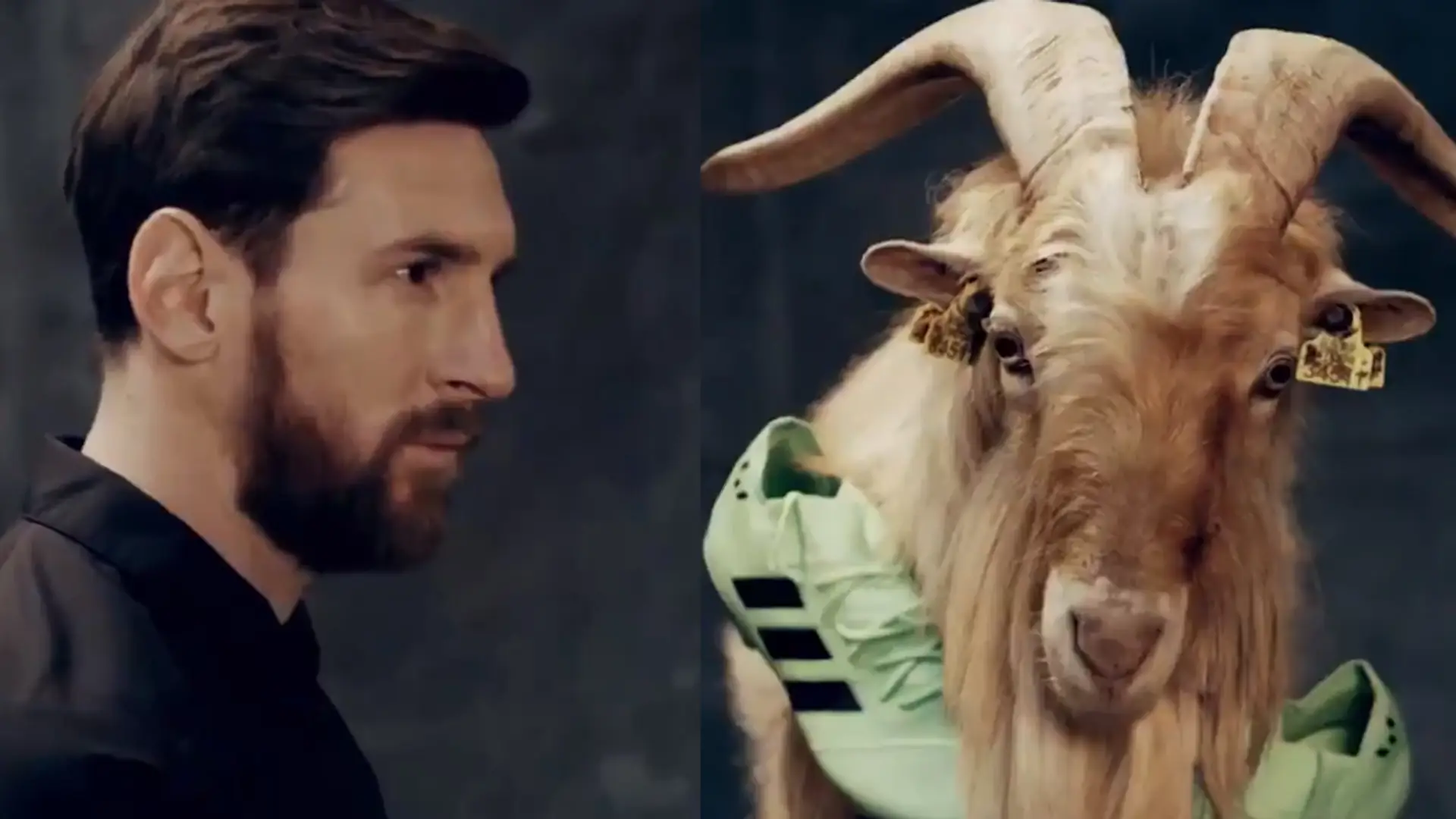 Leo Messi i kozy. Napastnik bryluje w świetnej sesji zdjęciowej