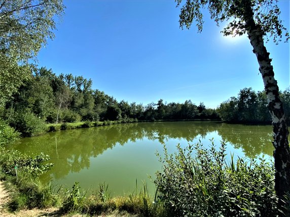 W Krakowie powstanie nowy park! To Park Rzeczny Tetmajera