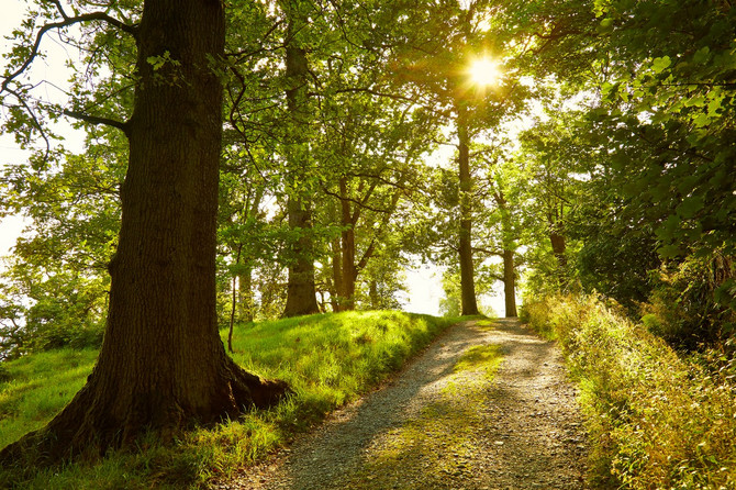 Ne razmišljajte previše kad rešavate ovaj test!