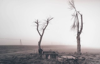 Wąska ścieżka ku ocaleniu [RECENZJA]