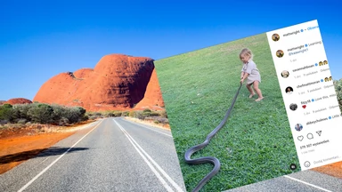 Dwuletni chłopiec ciągnie wielkiego węża, a tata mu kibicuje. Szalone nagranie stało się hitem