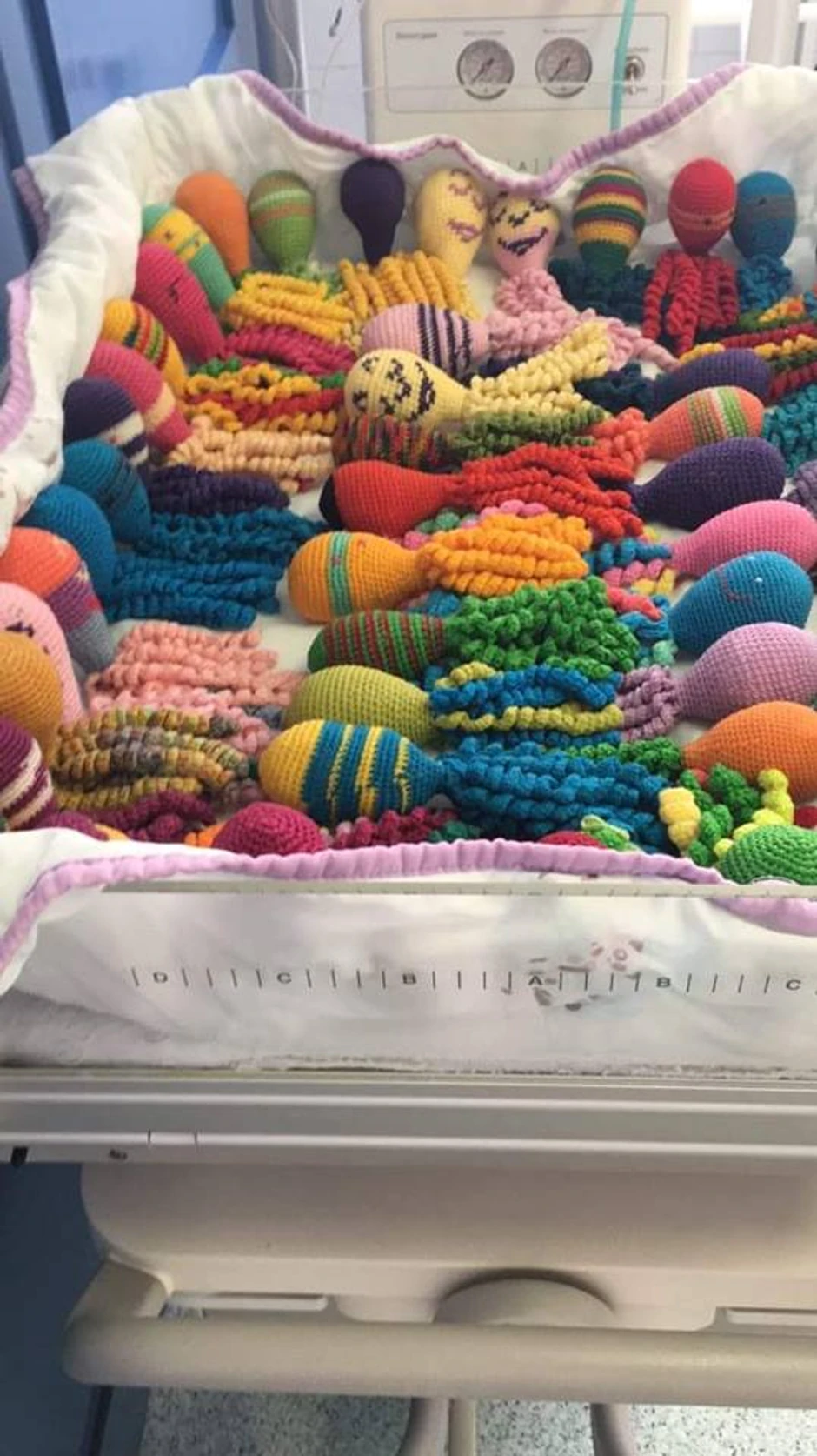 Heklane hobotnice nisu igračke i ne kupuju se