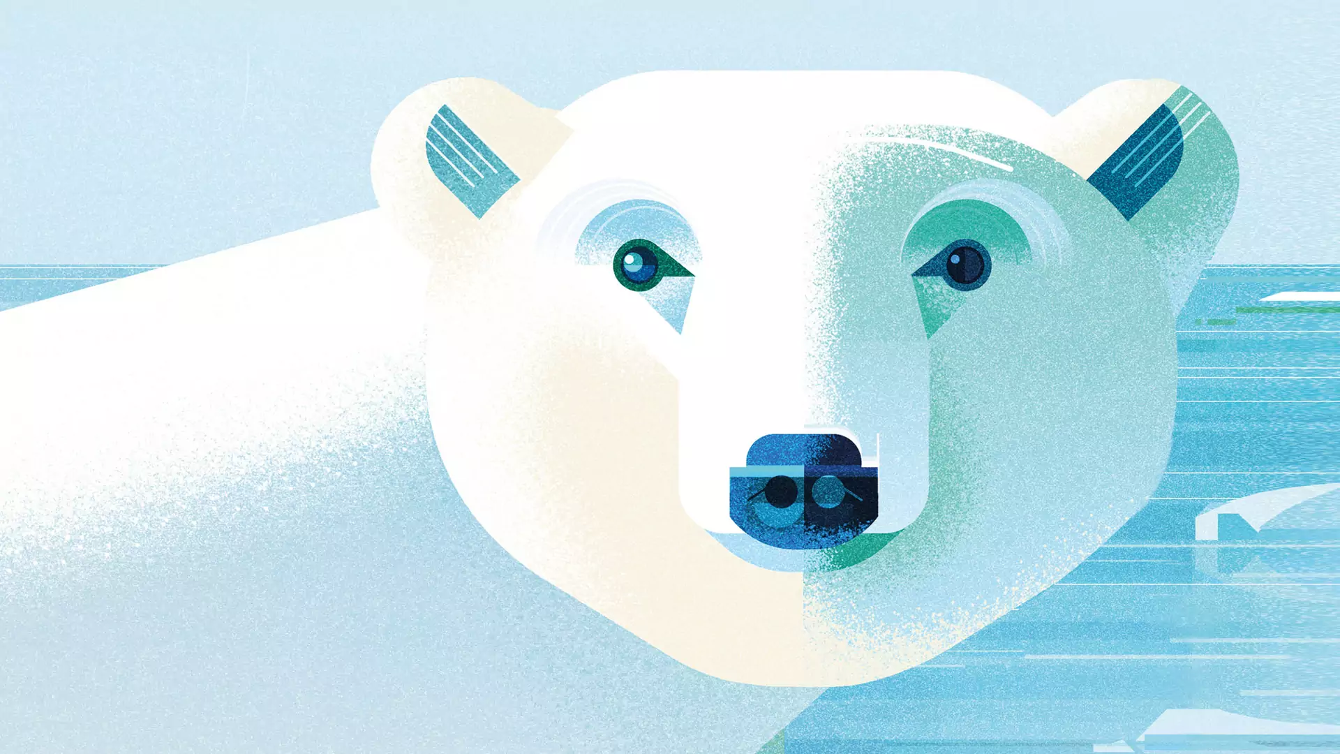 "Ratujmy zwierzęta" to najpiękniej wydana książka o katastrofie klimatycznej