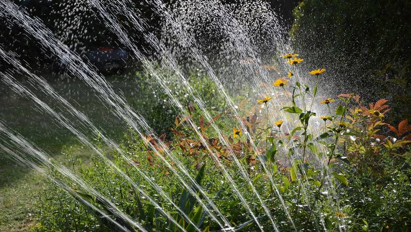 Muss es denn Gardena sein? Die beliebtesten Bewässerungssteuerungen