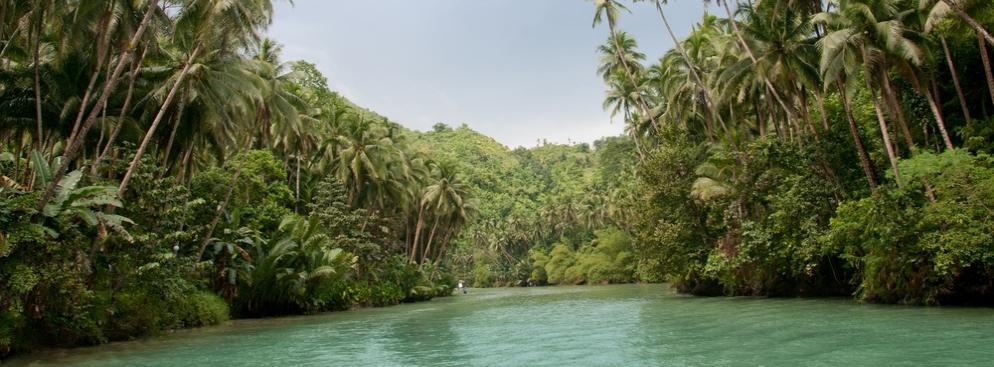 The Environmental Performance Index (EPI) zawiera 9 kategorii tematycznych i 20 przyporządkowanych im wskaźników: wpływ na zdrowie (wskaźnik - śmiertelność dzieci), jakość powietrza (wskaźnik - poziom zanieczyszczenia), woda i urządzenia sanitarne (dostęp do wody pitnej i urządzeń sanitarnych), źródła wody (odzyskiwanie zużytej wody), rolnictwo (subsydie, zużycie pestycydów), lasy (stan wycinki lasów), łowiska (stan łowisk rybackich), bioróżnorodność i stan siedlisk (ochrona obszarów wodnych oraz zagrożonych, rzadkich siedlisk) oraz klimat i energia (trendy w emisji CO2, trendy zużycia węgla). <Br>
Surowe dane dla każdego państwa zostały przekształcone w określone porównywalne wartości wskaźników. Państwa zostały ocenione w każdej kategorii i pod względem poszczególnych wskaźników w skali od 0 do 100. Maksymalna wartość odpowiada międzynarodowemu celowi, jaki został wyznaczony do realizacji w danym zakresie. EPI uwzględnia 178 państw z całego świata. Można dostrzec pewną prawidłowość: wiodącą pozycję na świecie pod względem ochrony środowiska zajmuje Europa, w środkowej części zestawienia dominują kraje z Azji oraz obu Ameryk, natomiast miejsca na dole rankingu okupuje Afryka.