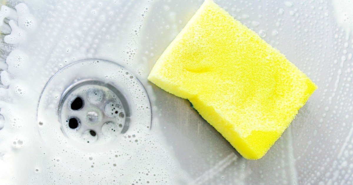 How To Clean A Kitchen Sponge Properly, According To Experts Pulse