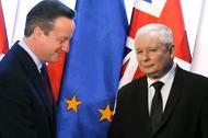 David Cameron Jarosław Kaczyński polityka PiS Prawo i Sprawiedliwość Polska Wielka Brytania