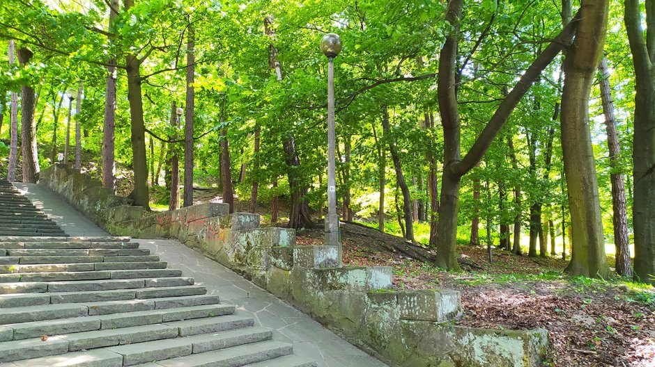 Park Bednarskiego w Krakowie.