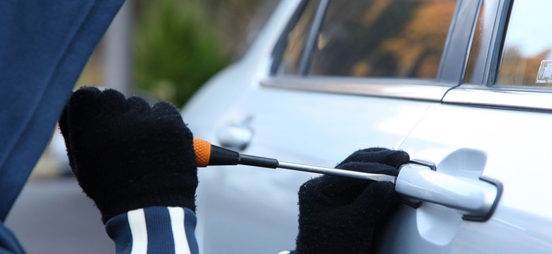 Jakie auta najczęściej kradną w poszczególnych województwach? NOWE DANE tylko w dziennik.pl
