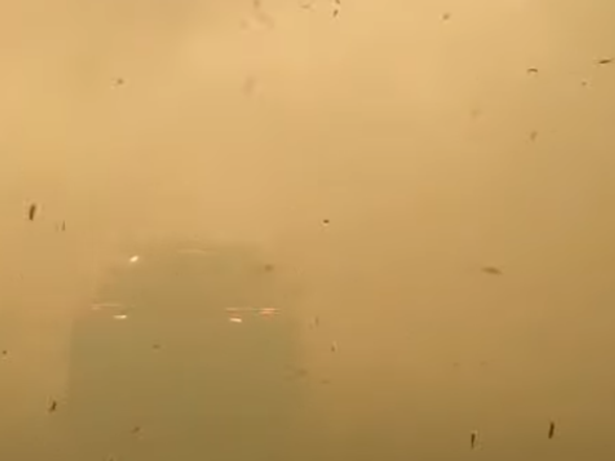 SMRTONOSNE DIMNE ZAVESE GUTAJU AUTO-PUT! Vatra sa njiva izazvala apokalipsu na putu: Serija od tri lančana sudara, povređeno 14 ljudi, stručnjaci uputili HITAN APEL!