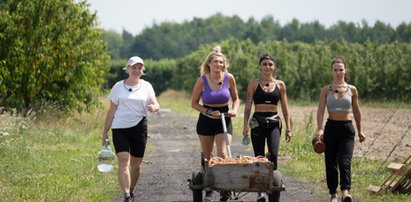 "Farma". Czarne chmury nad Farmerem Tygodnia