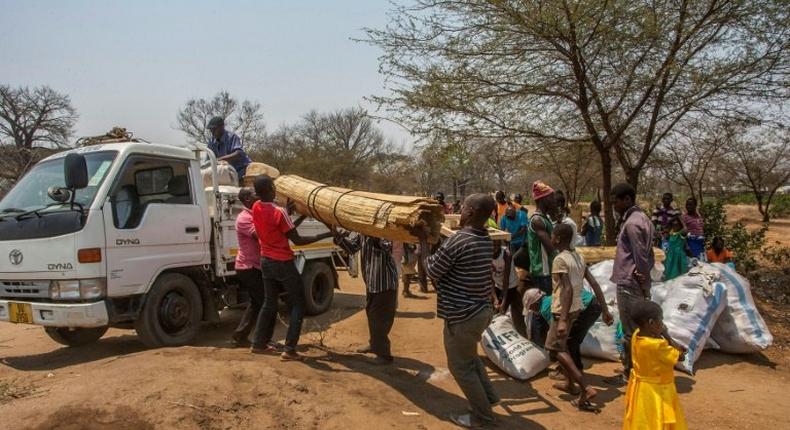 Hundreds of people at Luwani refugee camp in Malawi have already registered to go back to their ancestral villages across the border in Mozambique and the camp is bustling with preparations