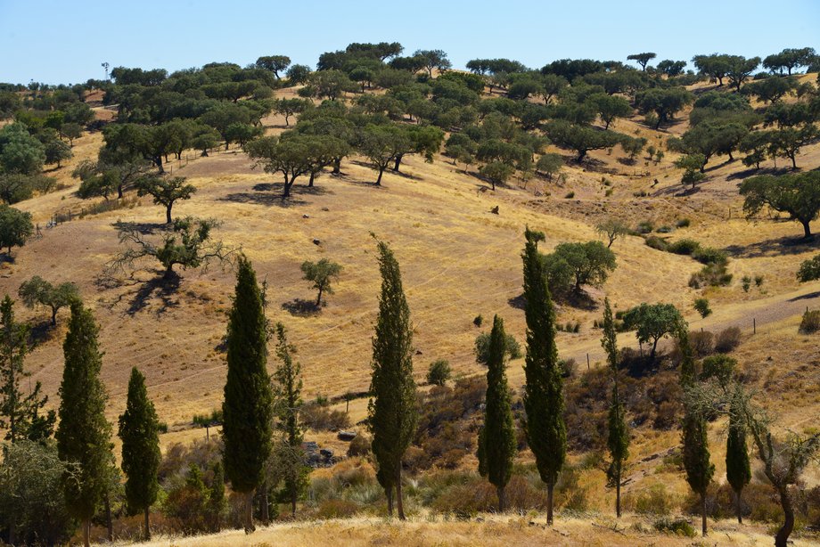 Parque Natural do Vale do Guadiana