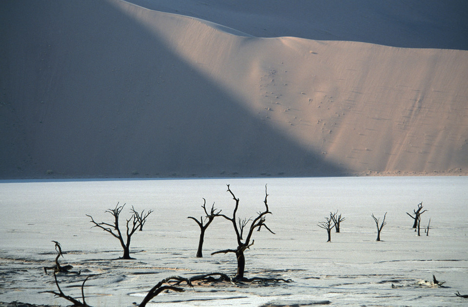 Dead Vlei