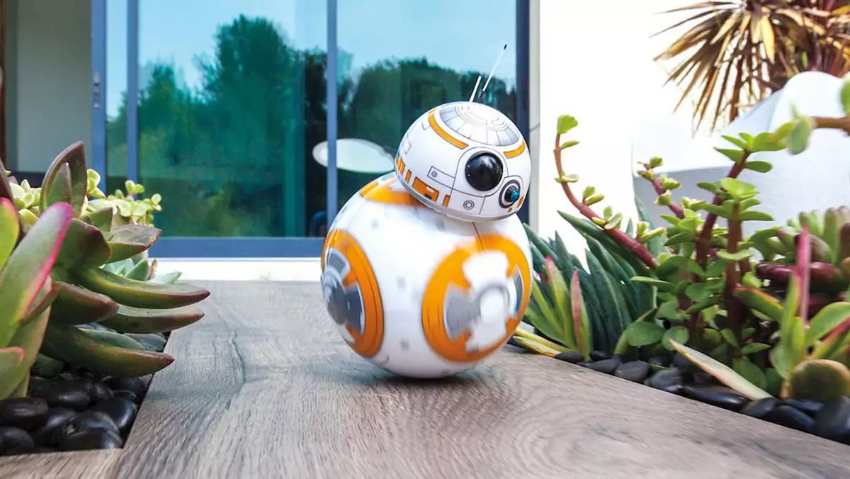 BB-8 - robot z Gwiezdnych Wojen jest prawdziwy i możesz go już kupić za 150 dolarów