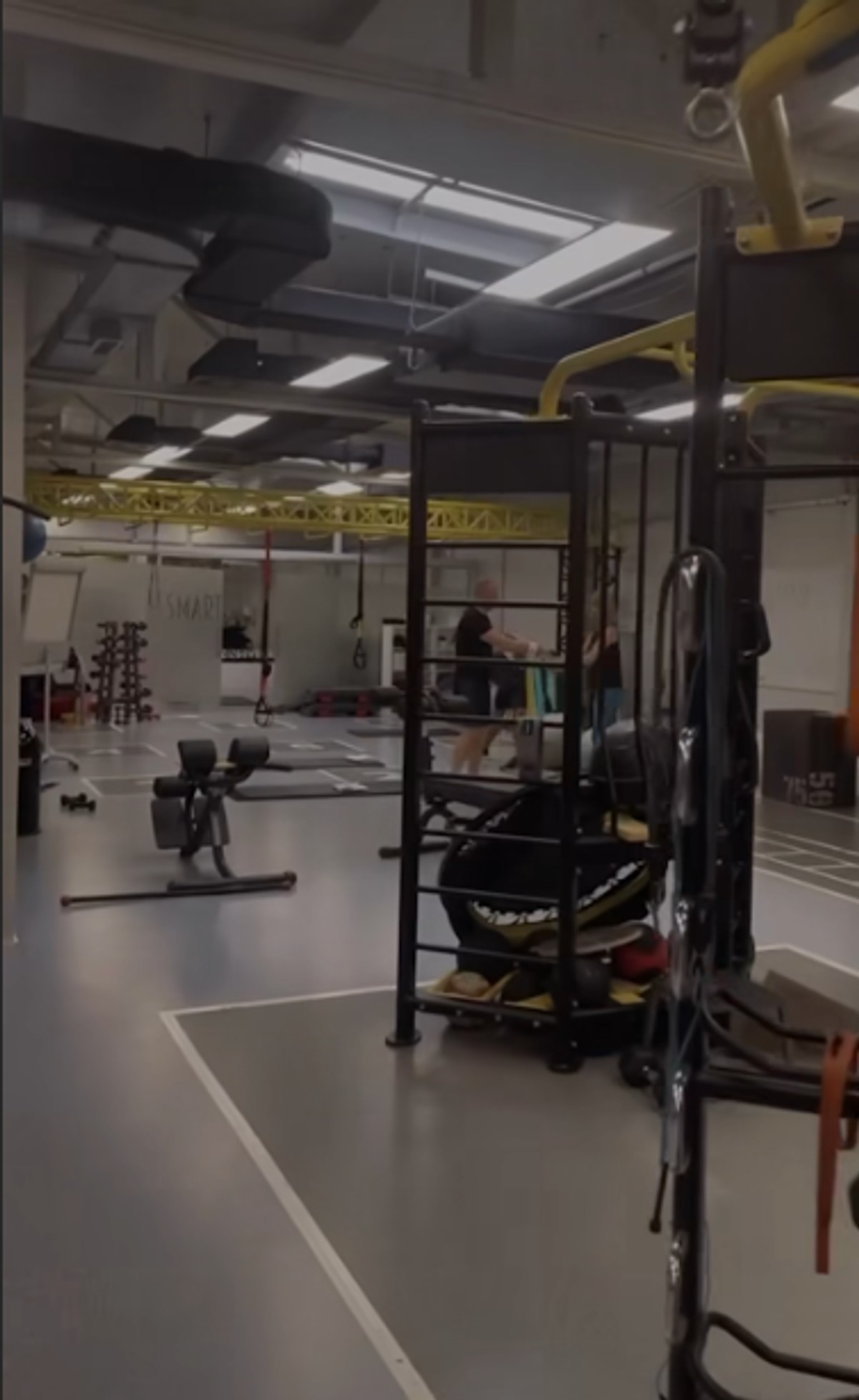 Jelisaveta u teretani