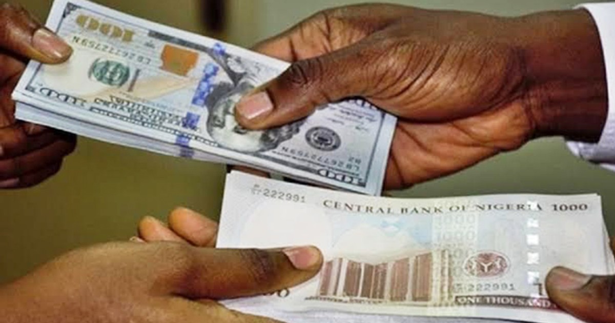 Fatshimetrie inakualika katika ulimwengu unaosisimua, ambapo ubora, utofauti na umuhimu upo. Jiunge na jamii ili kufahamishwa, kuburudishwa na kuunganishwa. Maudhui mapya na ya kuelimisha yanakungoja, shukrani kwa timu ya wahariri wenye shauku. Shiriki, shiriki na ujenge jumuiya yenye nguvu na inayohusika. Jijumuishe katika tukio hili lisilosahaulika ambapo taarifa hukutana na burudani na muunganisho wa binadamu ndio kila kitu.