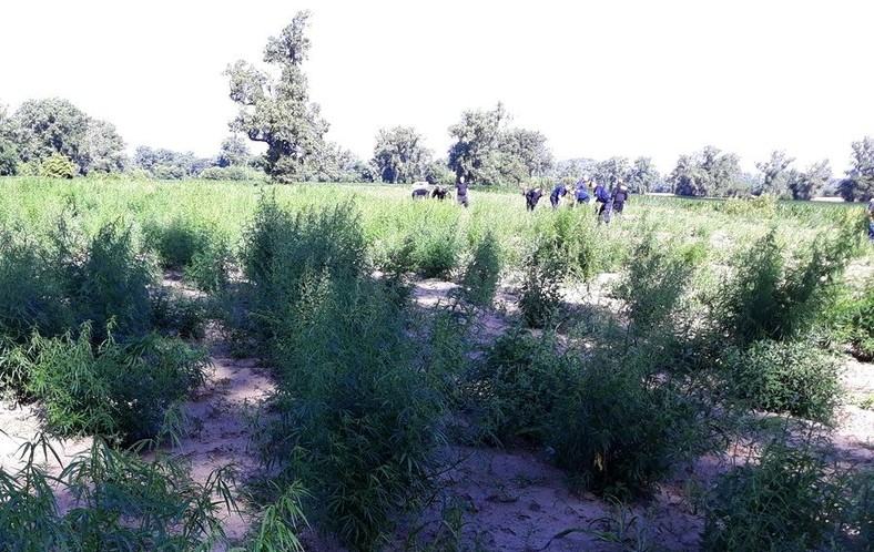 Akcja policji z 4 lipca 