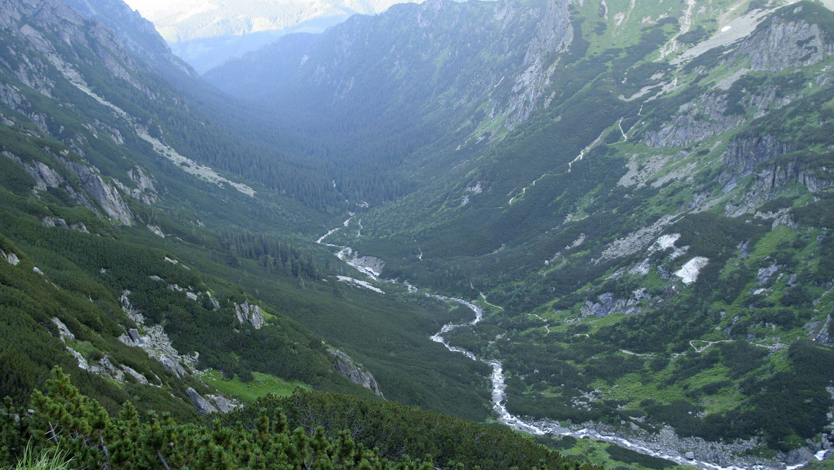 Ludzkie szczątki odnalezione na początku września w Dolinie Roztoki w Tatrach mogą należeć do mężczyzny z Podkarpacia zaginionego w 2009 r. – powiedział dziś prowadzący śledztwo w tej sprawie Roman Wieczorek z zakopiańskiej policji.