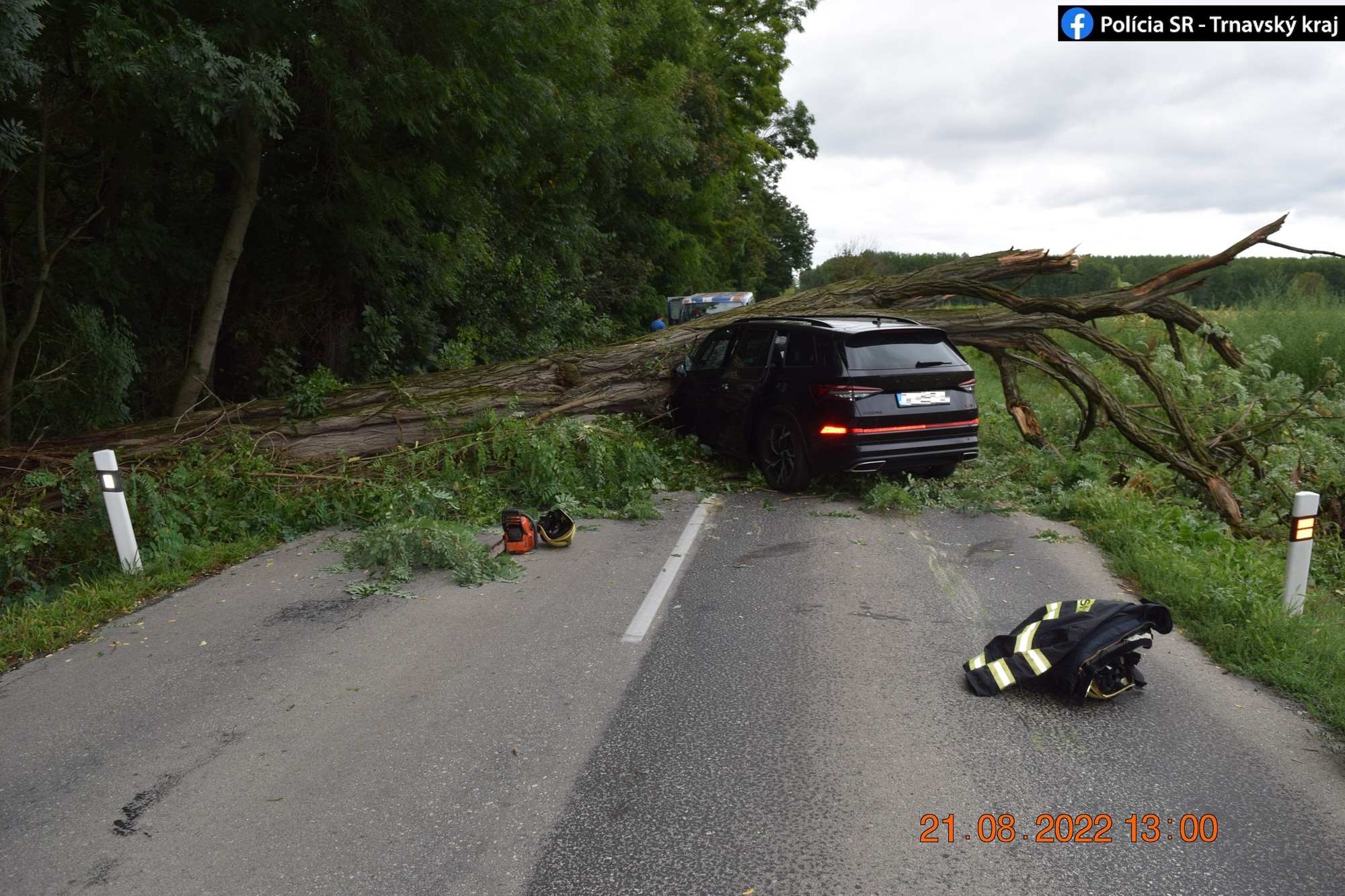 Na auto spadol strom. 