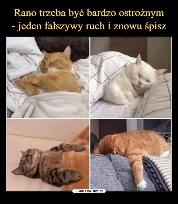 Światowy Dzień Snu. Te memy to samo życie