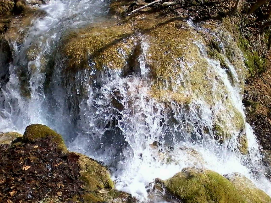 Ropot, čudo prirode