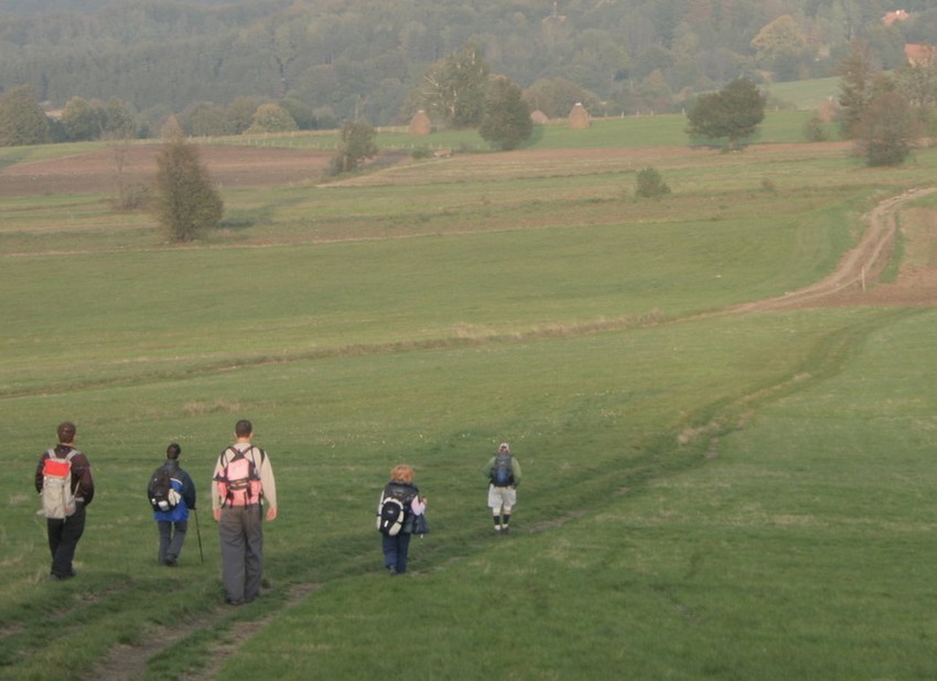Mnogi meštani pešače po četiri kilometra do stajališta u Nomanici