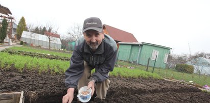 Jak zebrać dobre plony z idealnej działki