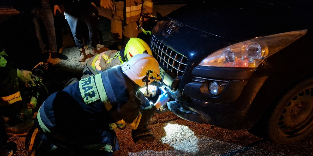 Pies utkwił w zderzaku po zderzeniu z osobówką. 